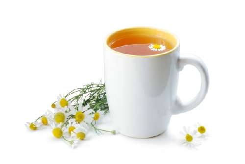 Ромашковый чай польза или вред от этого напитка